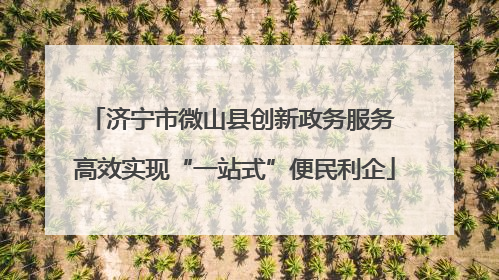 济宁市微山县创新政务服务 高效实现“一站式”便民利企