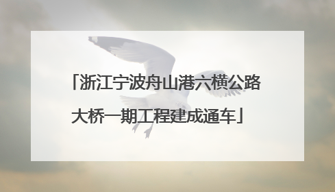 浙江宁波舟山港六横公路大桥一期工程建成通车