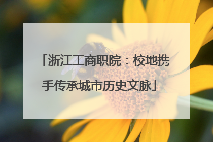 浙江工商职院：校地携手传承城市历史文脉
