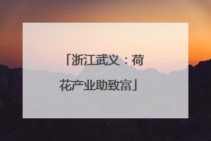 浙江武义：荷花产业助致富