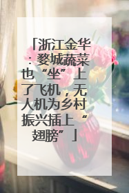浙江金华：婺城蔬菜也“坐”上了飞机，无人机为乡村振兴插上“翅膀”