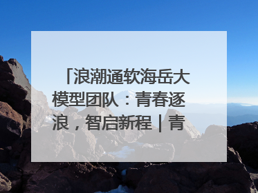 浪潮通软海岳大模型团队：青春逐浪，智启新程｜青春思政课
