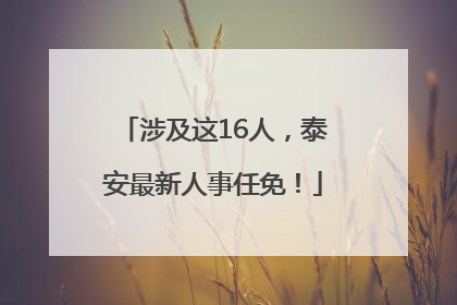 涉及这16人，泰安最新人事任免！