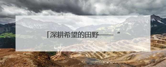深耕希望的田野——“综合试验田”里庆丰收