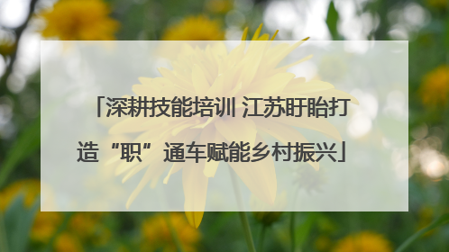深耕技能培训 江苏盱眙打造“职”通车赋能乡村振兴