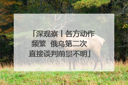深观察丨各方动作频繁  俄乌第二次直接谈判前景不明