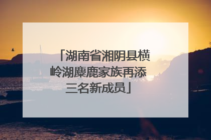 湖南省湘阴县横岭湖麋鹿家族再添三名新成员