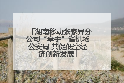湖南移动张家界分公司“牵手”省机场公安局 共促低空经济创新发展
