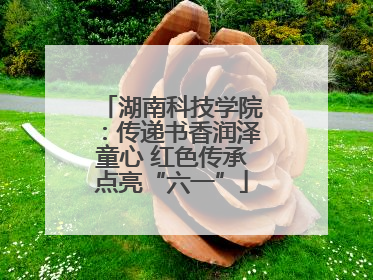 湖南科技学院：传递书香润泽童心 红色传承点亮“六一”