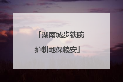 湖南城步铁腕护耕地保粮安