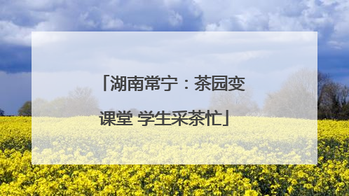 湖南常宁：茶园变课堂 学生采茶忙