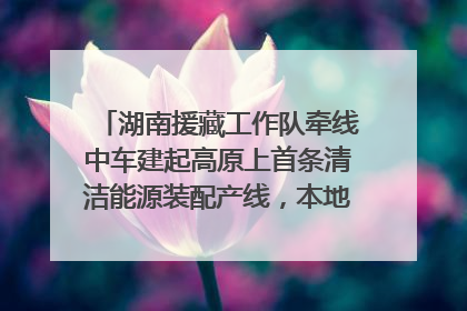 湖南援藏工作队牵线中车建起高原上首条清洁能源装配产线，本地大学生成车间检验员