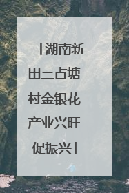 湖南新田三占塘村金银花产业兴旺促振兴