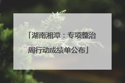 湖南湘潭：专项整治周行动成绩单公布