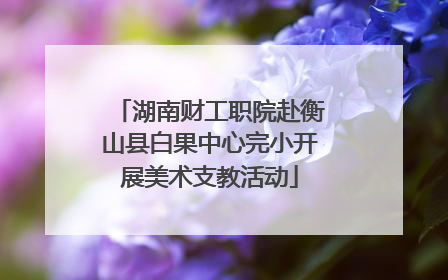 湖南财工职院赴衡山县白果中心完小开展美术支教活动