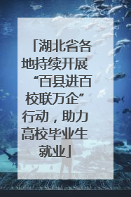 湖北省各地持续开展“百县进百校联万企”行动，助力高校毕业生就业