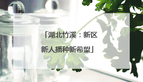 湖北竹溪：新区新人播种新希望