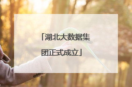 湖北大数据集团正式成立
