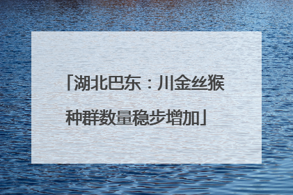 湖北巴东：川金丝猴种群数量稳步增加