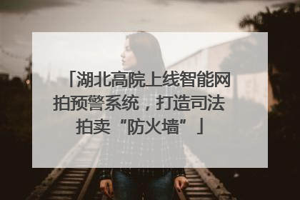 湖北高院上线智能网拍预警系统，打造司法拍卖“防火墙”