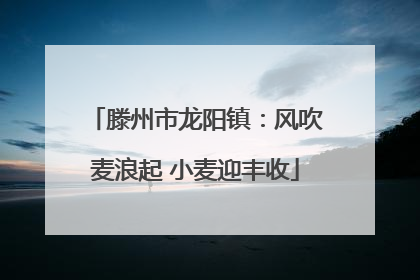 滕州市龙阳镇：风吹麦浪起 小麦迎丰收