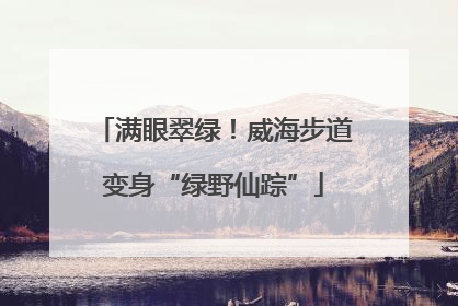 满眼翠绿！威海步道变身“绿野仙踪”