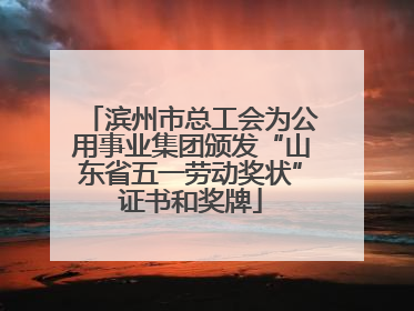 滨州市总工会为公用事业集团颁发“山东省五一劳动奖状”证书和奖牌