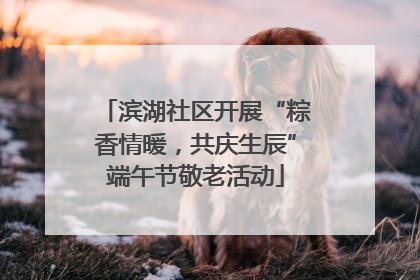 滨湖社区开展“粽香情暖，共庆生辰”端午节敬老活动