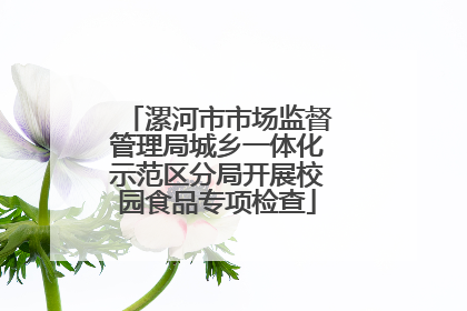 漯河市市场监督管理局城乡一体化示范区分局开展校园食品专项检查