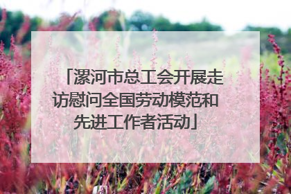 漯河市总工会开展走访慰问全国劳动模范和先进工作者活动