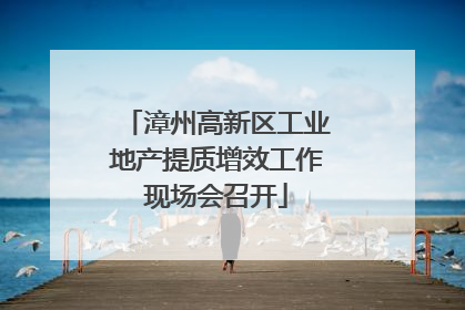 漳州高新区工业地产提质增效工作现场会召开