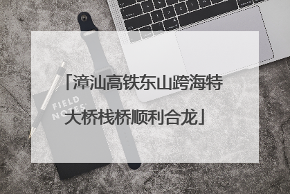 漳汕高铁东山跨海特大桥栈桥顺利合龙