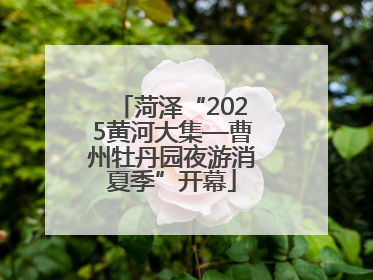 菏泽“2025黄河大集—曹州牡丹园夜游消夏季”开幕