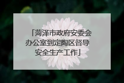 菏泽市政府安委会办公室到定陶区督导安全生产工作