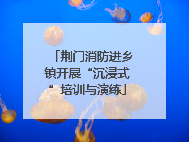 荆门消防进乡镇开展“沉浸式”培训与演练