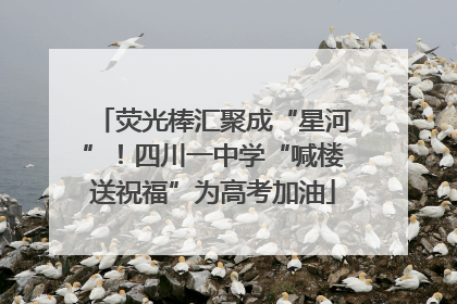 荧光棒汇聚成“星河”！四川一中学“喊楼送祝福”为高考加油
