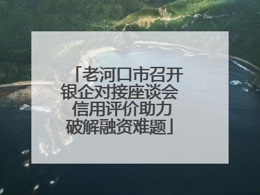 老河口市召开银企对接座谈会 信用评价助力破解融资难题
