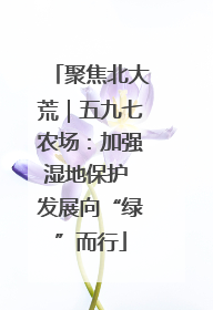 聚焦北大荒｜五九七农场：加强湿地保护 发展向“绿”而行