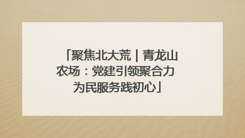 聚焦北大荒｜青龙山农场：党建引领聚合力 为民服务践初心