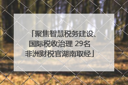 聚焦智慧税务建设、国际税收治理 29名非洲财税官湖南取经