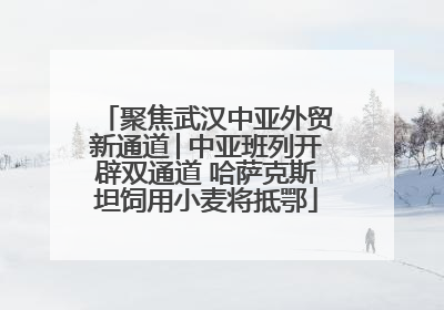 聚焦武汉中亚外贸新通道│中亚班列开辟双通道 哈萨克斯坦饲用小麦将抵鄂