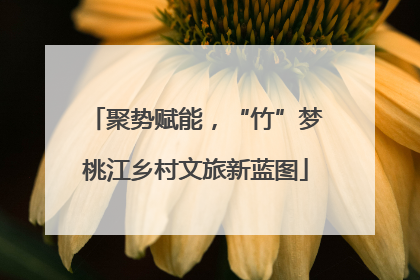 聚势赋能，“竹”梦桃江乡村文旅新蓝图