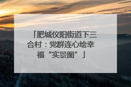 肥城仪阳街道下三合村：党群连心绘幸福“实景图”