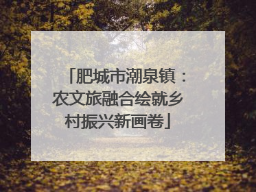 肥城市潮泉镇：农文旅融合绘就乡村振兴新画卷