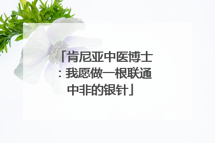肯尼亚中医博士：我愿做一根联通中非的银针