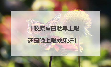 胶原蛋白肽早上喝还是晚上喝效果好