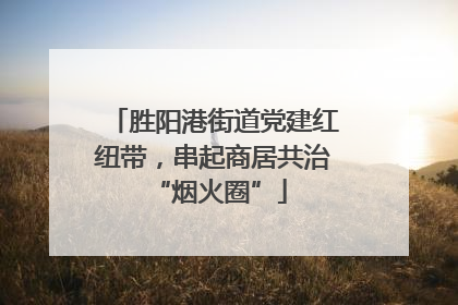胜阳港街道党建红纽带，串起商居共治 “烟火圈”
