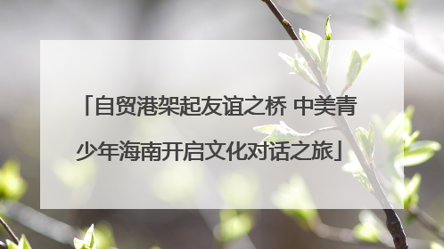 自贸港架起友谊之桥 中美青少年海南开启文化对话之旅