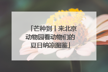 芒种到丨来北京动物园看动物们的夏日纳凉图鉴