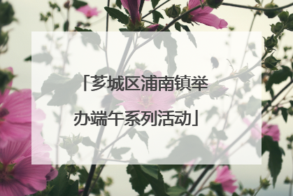 芗城区浦南镇举办端午系列活动